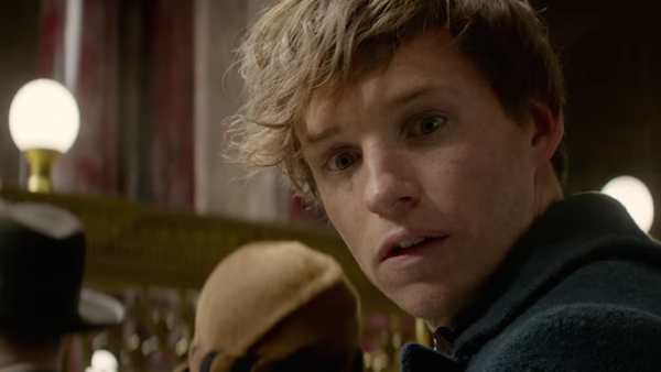 newt scamander fantastic beasts and where to find them newt