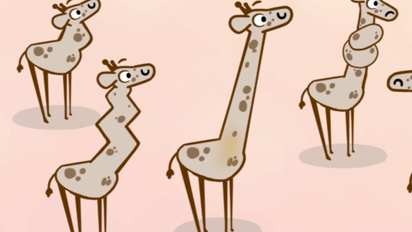 Evolution giraffe