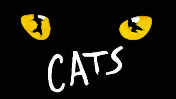 Cats Header.jpg