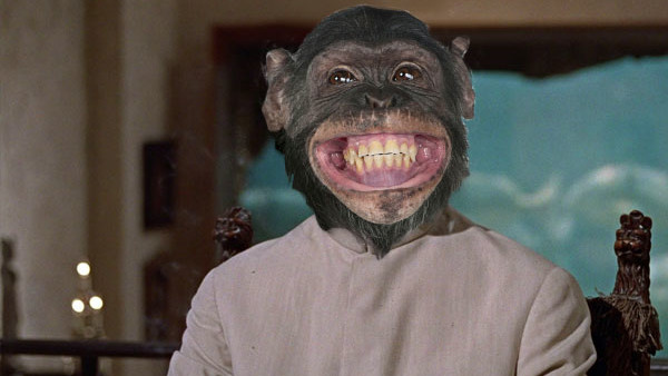 Monkey Dr No.jpg