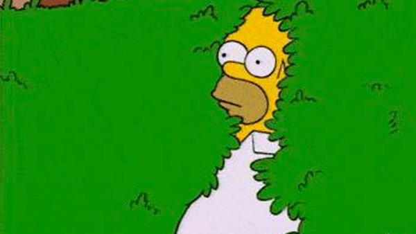 Homer Simpson Hedge Meme