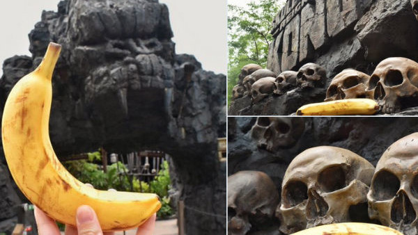 Skull Island Reign Of Kong