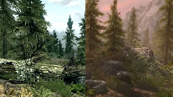 Skyrim special edition comparison