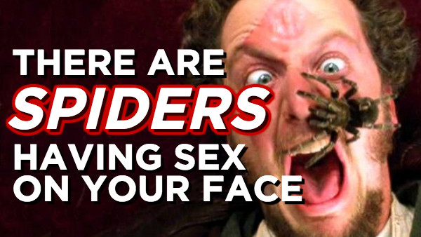 SPIDERS ON YOUR FACE