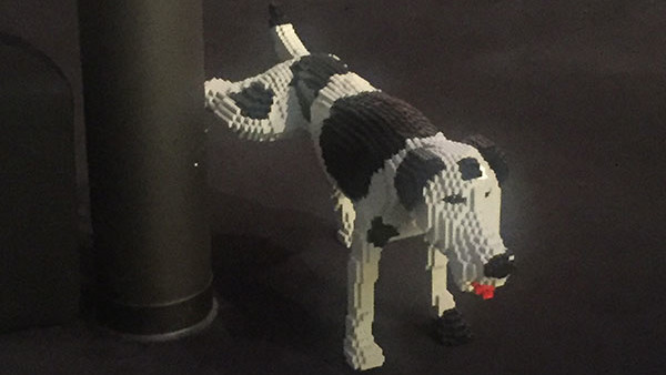LEGOLand Dog