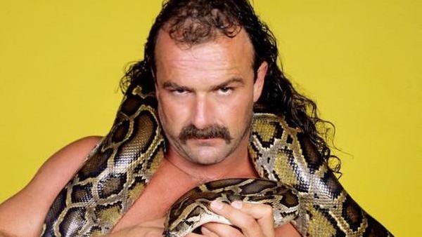 Jake Roberts Snake