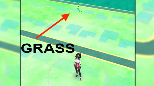 pokemon go grass