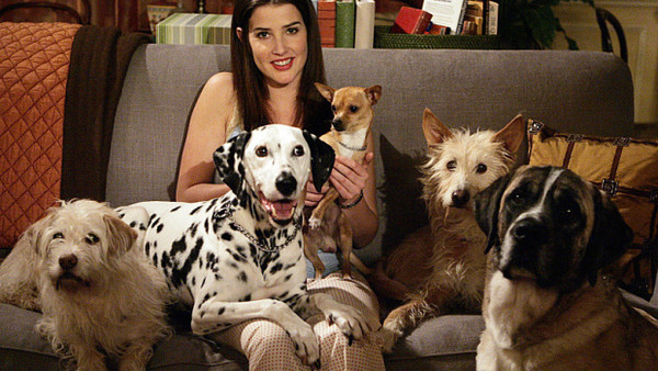 How I Met Your Mother Cobie Smulders Robin