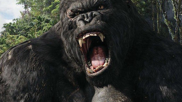 King Kong Grr