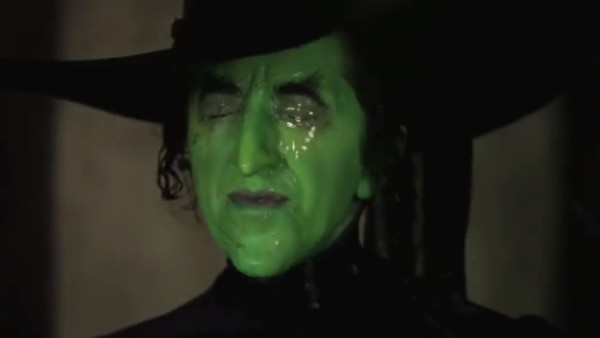 The Wizard Of Oz Wicked Witch