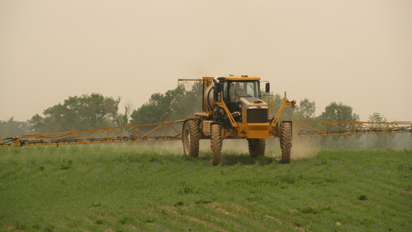 1264 Rogator Spraying Corn