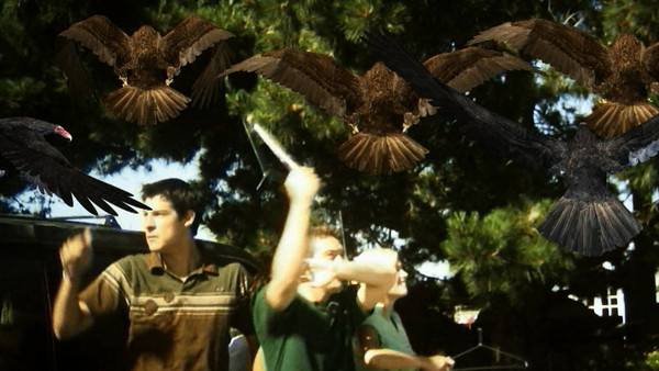Birdemic Bad CGI