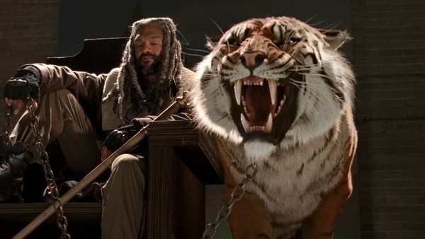 The Walking Dead Season 7 Tiger