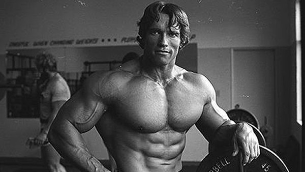 Arnold schwarzenegger