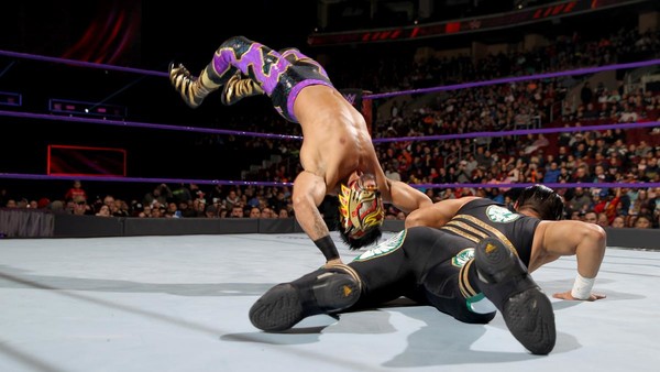 Lince Dorado