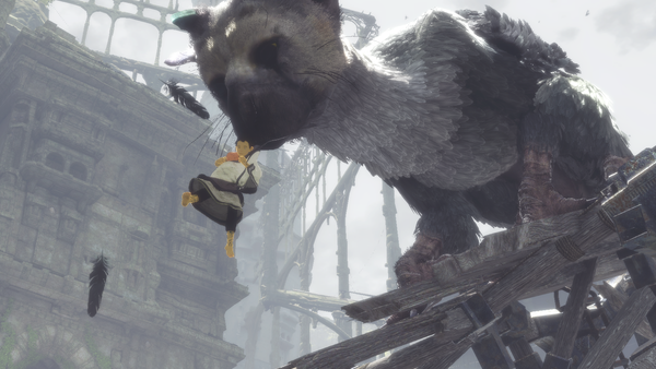 the last guardian