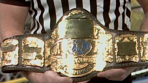 WCW title 1991