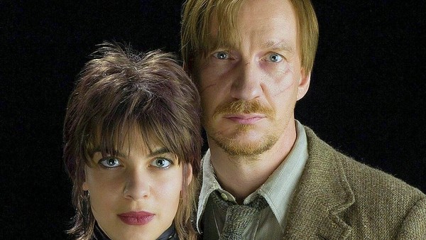 Lupin And Tonks Harry Potter