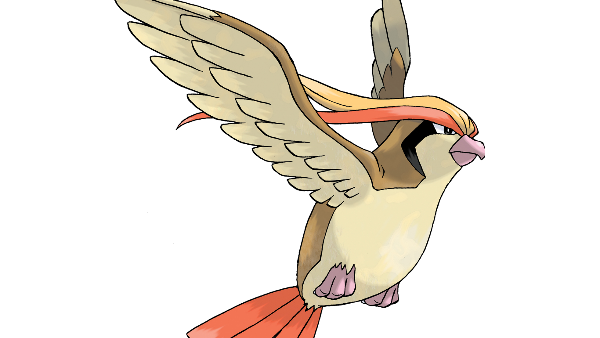 018 Pidgeot