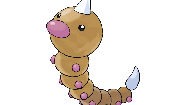 13 Weedle