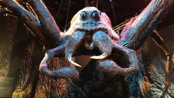 Aragog A Celebration of Harry Potter Warner Bros Studio Tour