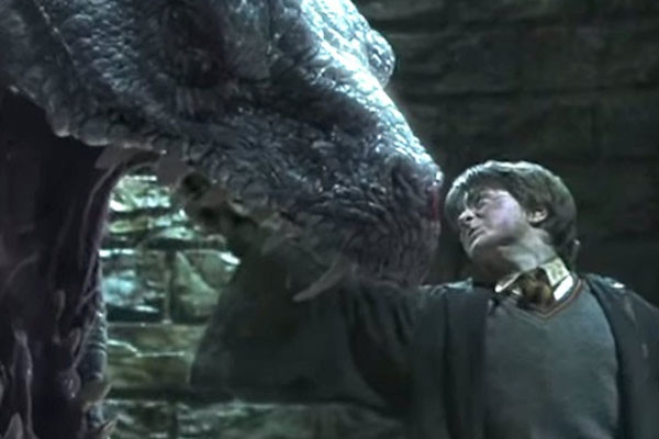 Harry Potter Basilisk Bite