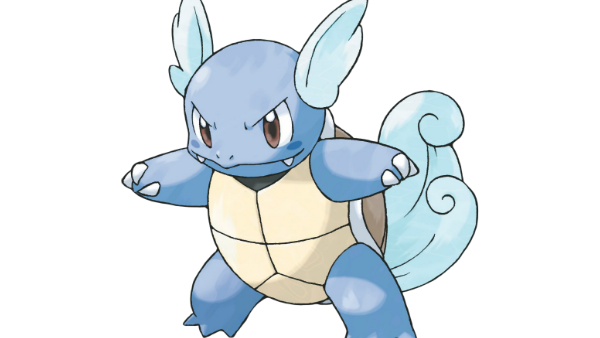 008 Wartortle