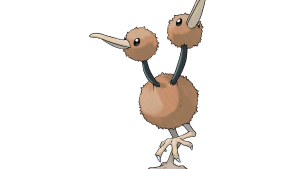 84 Doduo