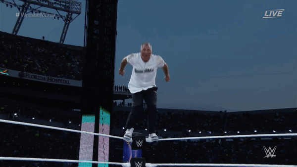 WWE WrestleMania 33 Shane McMahon AJ Styles