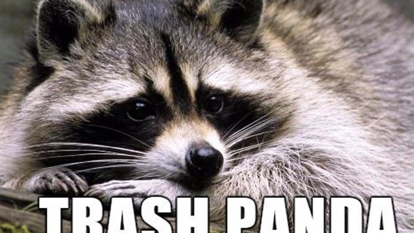 Trash Panda Meme