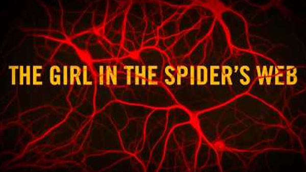 The Girl In The Spiders Web