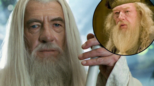 ian mckellen gandalf vs dumbledore