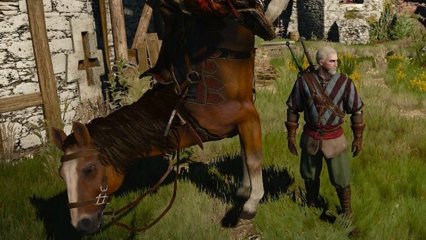 Witcher 3 roach