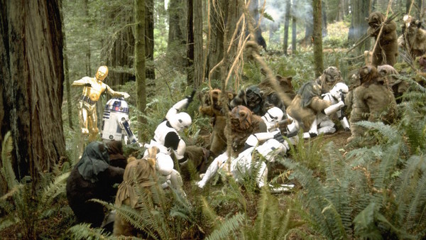 Star Wars Return of the Jedi Ewoks 