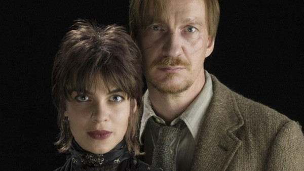 Harry Potter Lupin And Tonks