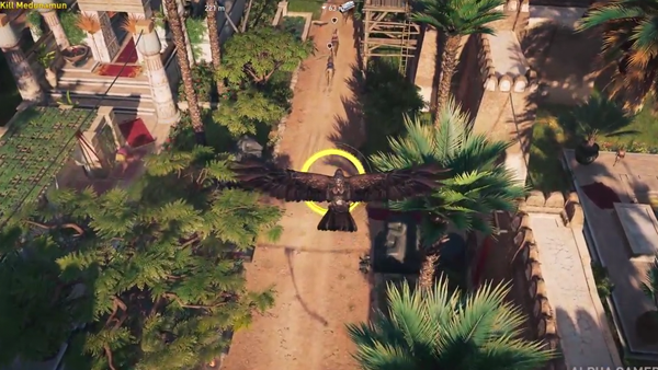 Assassins Creed Origins Eagle Gameplay