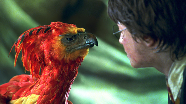 Fawkes Harry Potter