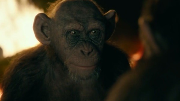 War For The Planet Of The Apes Bad Ape