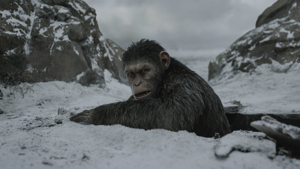 Caesar From War For The Planet Of The Apes