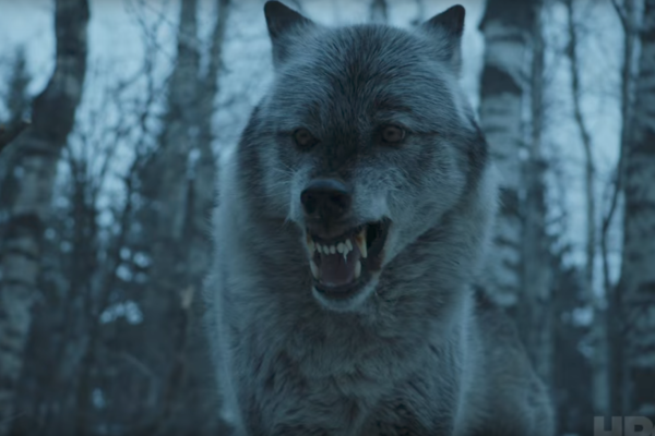 Game Of Thrones Nymeria