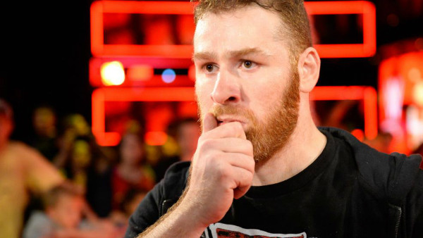 Sami Zayn Hell In A Cell