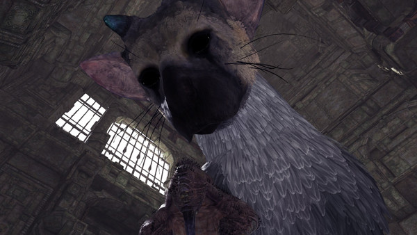 The Last Guardian VR Experience