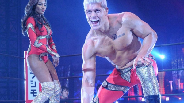 brandi rhodes cody rhodes