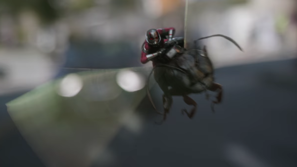 Ant-Man and the Wasp Flying Ant