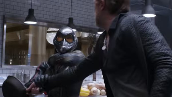 Ant Man And The Wasp Fight