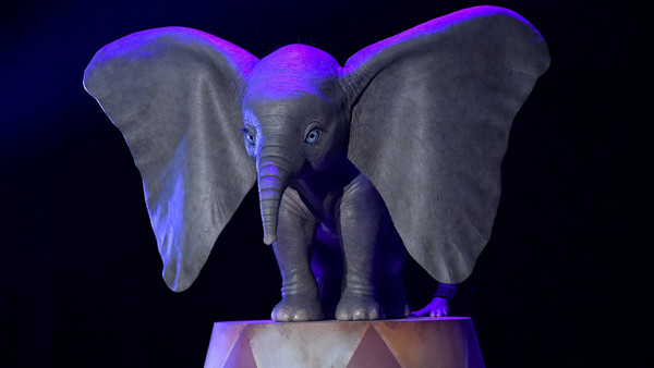 Dumbo D23