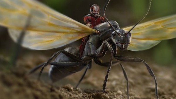 Ant-Man Anthony