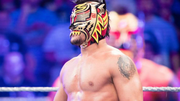 Lince Dorado