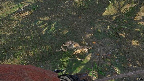 kingdom come deliverance hunting