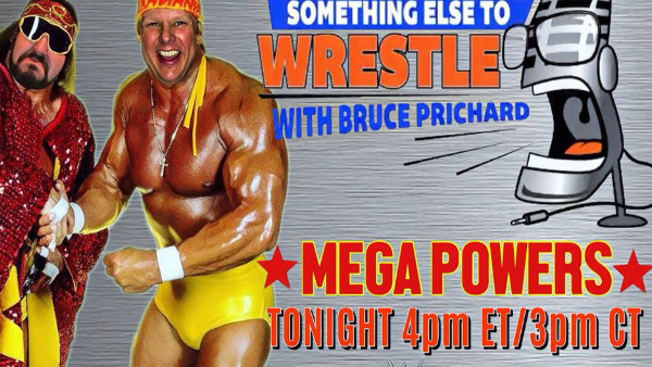 Something Else To Wrestle With Mega Powers